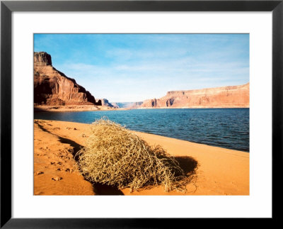 Dungeon Canyon, Lake Powell by James Denk Pricing Limited Edition Print image