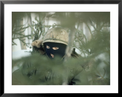 A Soldier In Full Camouflage by Lowell Georgia Pricing Limited Edition Print image