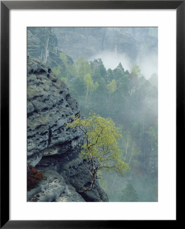 Sandstone Outcroppings, Sachsische Schweiz National Park, Germany by Norbert Rosing Pricing Limited Edition Print image
