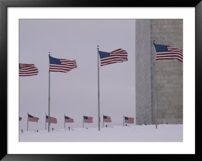 Wind Whips The Flags Surrounding The Base Of The Washington Monument by Stacy Gold Pricing Limited Edition Print image