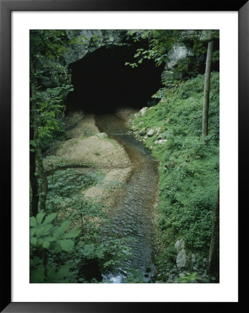 Elevated View Of The Cave by Stephen Alvarez Pricing Limited Edition Print image