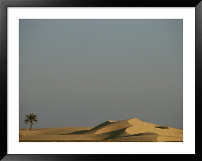 Scenic Landscape Of The Bahariya Oasis In Egypt by Kenneth Garrett Pricing Limited Edition Print image