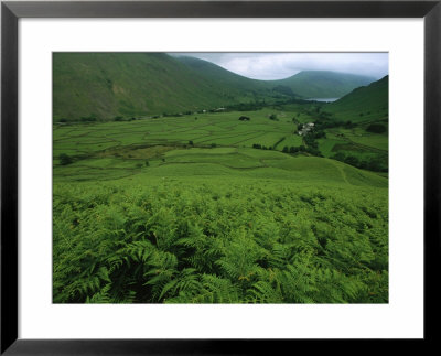 View From A Fern-Covered Hillside Of A Valley North Of Scafell Pike by Joel Sartore Pricing Limited Edition Print image