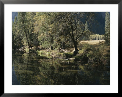 Autumn View Along The Merced River by Marc Moritsch Pricing Limited Edition Print image