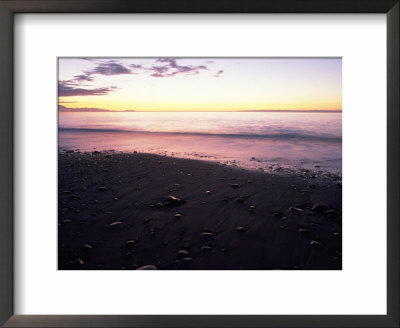 Dungeness Wildlife Sanctuary, Wa by Peter French Pricing Limited Edition Print image