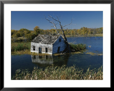 Wetland Reclamation Of Old Farmland by Raymond Gehman Pricing Limited Edition Print image