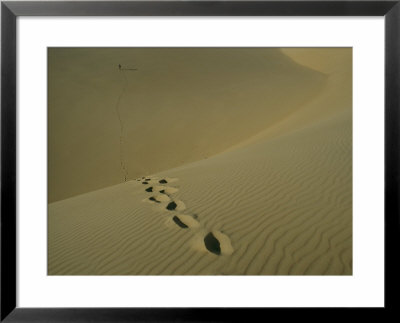 Tracks In The Sand Dunes On Fraser Island by Sam Abell Pricing Limited Edition Print image