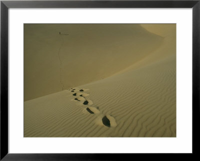 Tracks In The Sand Dunes On Fraser Island by Sam Abell Pricing Limited Edition Print image