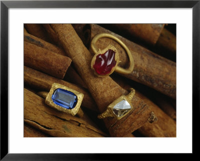 Cinnamon Bark Shows Off Rings Of Ruby, Diamond And Sapphire Found In The Wreckage by Sisse Brimberg Pricing Limited Edition Print image