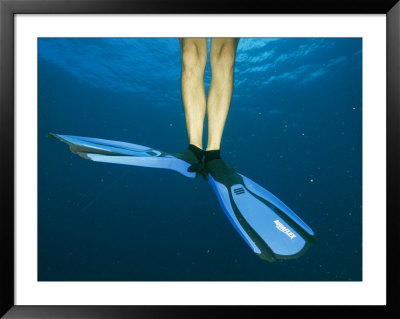 A Divers Fins During Descent by Heather Perry Pricing Limited Edition Print image