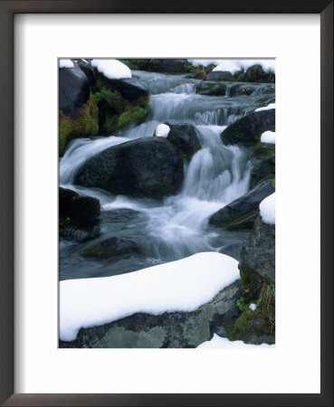 Paradise River, Mt. Rainier National Park, Washington by Mark Windom Pricing Limited Edition Print image