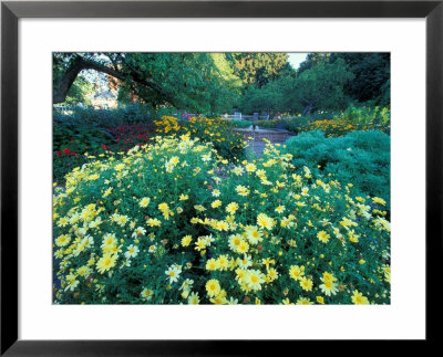 Prescott Park Garden, New Hampshire, Usa by Jerry & Marcy Monkman Pricing Limited Edition Print image