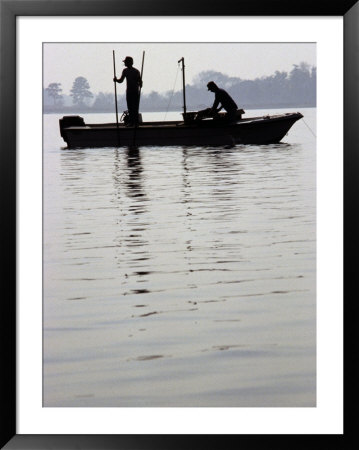 A Kodiak Brown Bear On The Bank Of A Kodiak Island River by George F. Mobley Pricing Limited Edition Print image