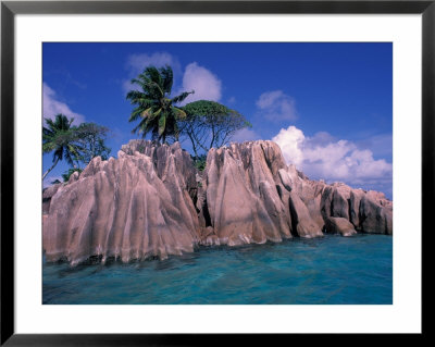 Tropical Shoreline Of St. Pierre Islet, Seychelles by Nik Wheeler Pricing Limited Edition Print image