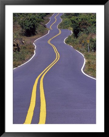 Crooked Road In Upcountry, Maui, Hawaii, Usa by Julie Eggers Pricing Limited Edition Print image