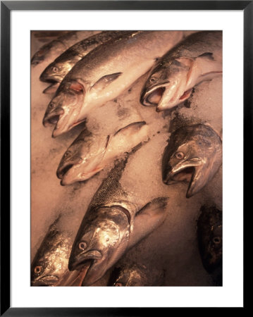 Fresh Salmon In Granville Island Market, British Columbia, Canada by Connie Ricca Pricing Limited Edition Print image