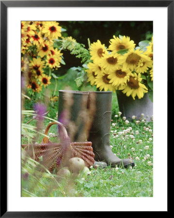 Wellington Boots, Basket, Helianthus (Sunflower), Apple by Martine Mouchy Pricing Limited Edition Print image