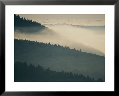 Mist Rises Along Tree-Lined Ridges At Cape Enrage On The Bay Of Fundy by Michael S. Lewis Pricing Limited Edition Print image