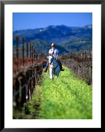 Equestrian Riding In A Vineyard, Napa Valley Wine Country, California, Usa by John Alves Pricing Limited Edition Print image