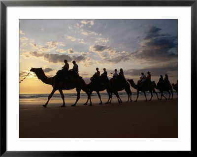 Camel Riding On Beach, Broome, Australia by John Banagan Pricing Limited Edition Print image