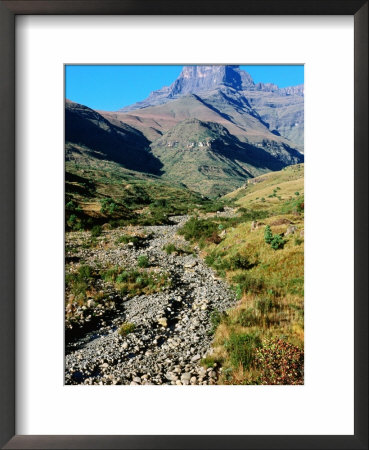 Thukela River Gorge And Amphitheatre Wall, Northern Drakensberg, South Africa by Ariadne Van Zandbergen Pricing Limited Edition Print image