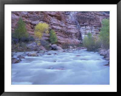 Virgin River And Honeycomb Rocks Area, Zion National Park, Utah, Usa by Jamie & Judy Wild Pricing Limited Edition Print image