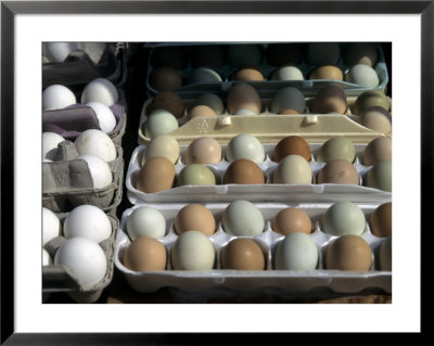 Fresh Farm Eggs Are On Display At A Farmers Market In Madison, Wisconsin, United States by Stacy Gold Pricing Limited Edition Print image