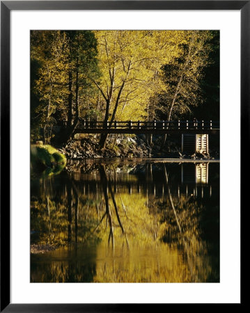 Trees And A Footbridge Are Reflected In The Merced River by Marc Moritsch Pricing Limited Edition Print image
