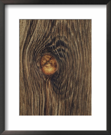 Close-Up Of A Knot In A Section Of Lumber by David Boyer Pricing Limited Edition Print image