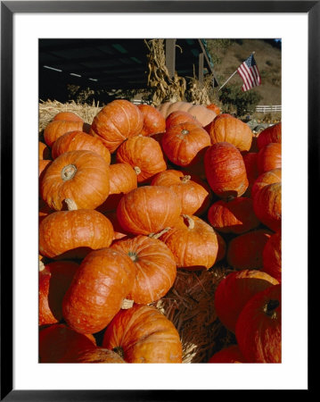 Close View Of A Pile Of Picked Pumpkins by Marc Moritsch Pricing Limited Edition Print image