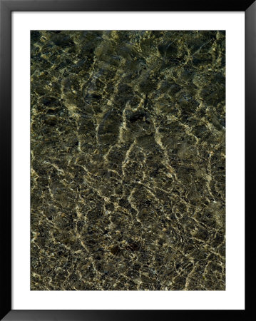 Patterns Formed By Sunlight Through Shallow Water by Todd Gipstein Pricing Limited Edition Print image