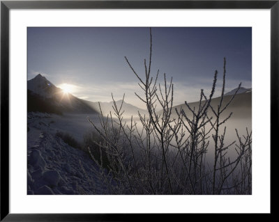 Winter View Of Jasper National Park by Dean Conger Pricing Limited Edition Print image