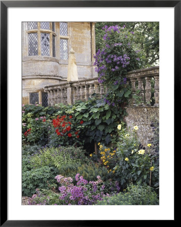 Montacute House, Somerset Herbaeceous Border With Dahlia Aster, Gentiana, Fuchsia And Clematis by Brian Carter Pricing Limited Edition Print image
