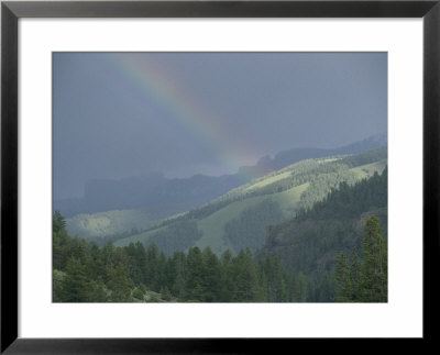 A Rainbow Bridges Lamar Valley Near Specimen Ridge After A Rain Storm by Raymond Gehman Pricing Limited Edition Print image