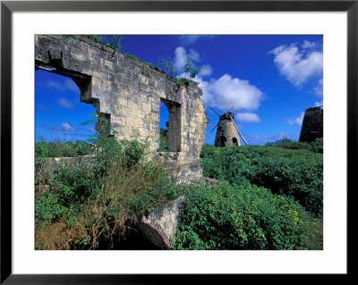 Sugar Plantation Ruins, Betty's Hope, Antigua, Caribbean by Nik Wheeler Pricing Limited Edition Print image
