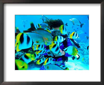 Diver And School Of Double Saddle Butterflyfish (Chaetodon Ulietensis), French Polynesia by Michael Aw Pricing Limited Edition Print image