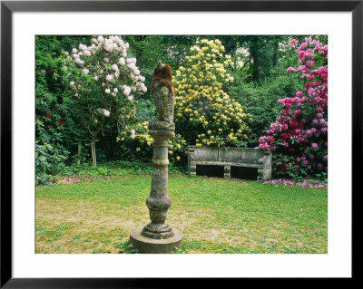 Rhododendron Pink Pearl, Rhododendron Milkmaid, Owl House, Kent by Sunniva Harte Pricing Limited Edition Print image