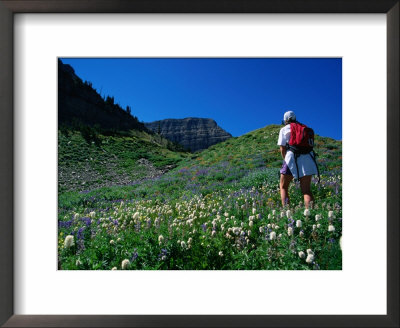 Hiking Mt. Timpanogos In The Wasatch National Forest, Utah, Usa by Cheyenne Rouse Pricing Limited Edition Print image