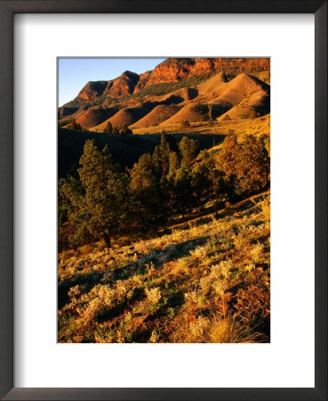 Section Of Aroona Valley, Flinders Ranges National Park, Australia by Paul Sinclair Pricing Limited Edition Print image