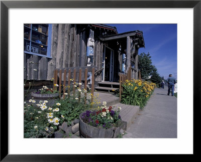 Tourist Shops In Downtown Homer, Kenai Peninsula, Alaska, Usa by Paul Souders Pricing Limited Edition Print image