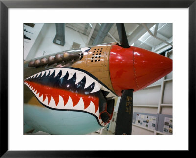 Ww2 Era P-40 Tiger Shark Fighter Plane, Palm Springs Air Museum, Palm Springs, California, Usa by Walter Bibikow Pricing Limited Edition Print image