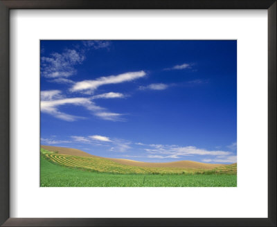 Spring Geen Fields, Palouse, Washington, Usa by Terry Eggers Pricing Limited Edition Print image