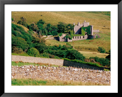 Overhead Of Drystone Walls In Front Of Clifden Castle, Clifden, Ireland by Richard Cummins Pricing Limited Edition Print image
