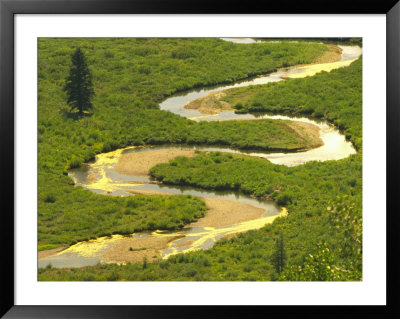 East River Near Crested Butte, Colorado, Usa by Julie Eggers Pricing Limited Edition Print image