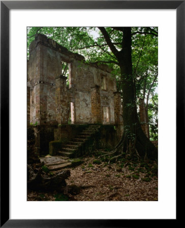 Ruins Of Penal Settlement On Ile Royale, French Guiana by Wayne Walton Pricing Limited Edition Print image