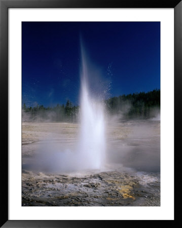 Plume Geyser In The Old Faithful Area, Yellowstone National Park, Wyoming, Usa by Carol Polich Pricing Limited Edition Print image