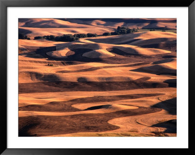 Aerial View Of Wheat Field In Palouse Region, Palouse, Usa by Nicholas Pavloff Pricing Limited Edition Print image