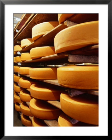 Cheese At Heidi Farm,Tasmania, Australia by John Hay Pricing Limited Edition Print image