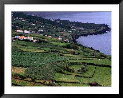 Walled Fields And Pastures Of Arrife On South Coast, Portugal by Wayne Walton Pricing Limited Edition Print image