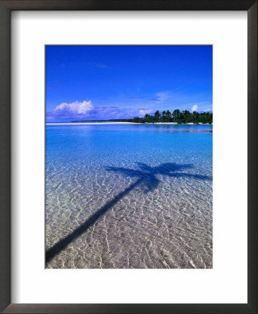 Shadow Of Palm Tree On Lagoon, Cook Islands by Peter Hendrie Pricing Limited Edition Print image
